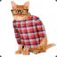 Hipster Cat