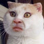 &gt;^&lt;ДОСИК&gt;^&lt;