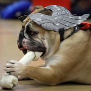 好枪兄弟发把连狙