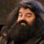 Rubeus Hagrid