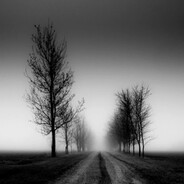 F1DUK - steam id 76561199674295151