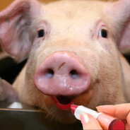 молюсь аллаху