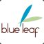 Blue Leaf