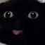 BomBila_MLG{360}_nocecope