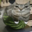 MelonCat