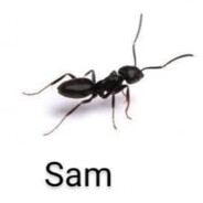 SamRod_360