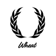 Wheat