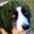 Melon Collie's Avatar