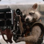 Armed_Raccoon