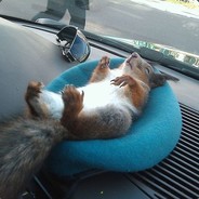 ЕБАШУ ВАШИХ МАМОК