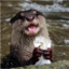 Kawaii Otter