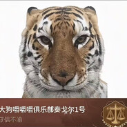 大狗嚼嚼嚼俱乐部泰戈