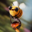 mad_honey