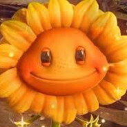 Подсолнух Наркош