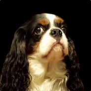 rezzo - steam id 76561197968332648
