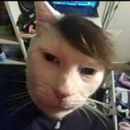 МУЖЧИНА ! - steam id 76561199491179646