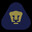 Pumas UNAM Steam avatar