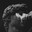 n3rvflux-