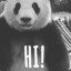 pandameisjeuh