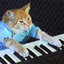 pianocats