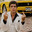 0neTap_