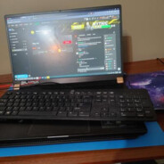Arvs™'s Steam Avatar