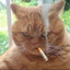 Finski