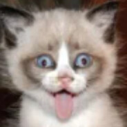 BlckHL|БЛЯДОТА