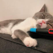 就差一支肾上腺素