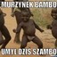 Murzynek Bambo