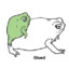 🐸Жабя попочка🐸