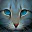 Jayfeather