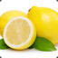 LIMON