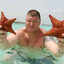 chocolate starfish