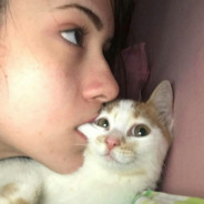 nolove