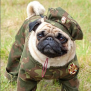 Unstoppable_Pugg - steam id 76561197961199744