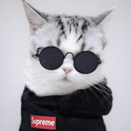 s.o.v.a avatar