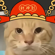 欺负一只小猫？