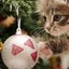 Christmas Kitten