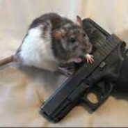 Rat With A Gat