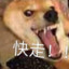 B点已湿手