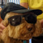 Waffle_Dog