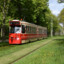 Grassy trams