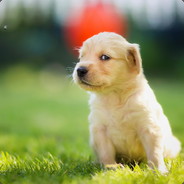 孩子别怕我是你爸