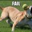 FAILdog (Reagus)