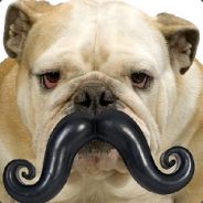 mr. plow - steam id 76561197965490460