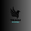 InvincibleTeam | Kosmos