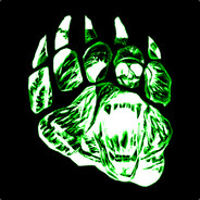 JavaliBear avatar