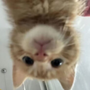 私密马赛队友酱