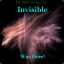 Invisible